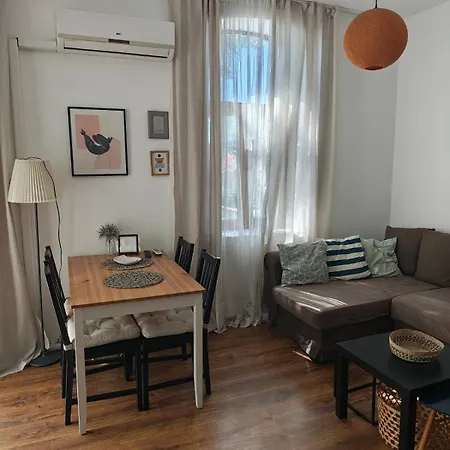Downtown Apartamento Radomir