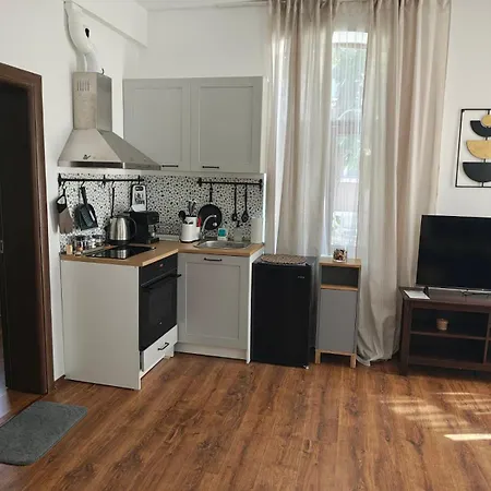 Downtown 아파트 Radomir