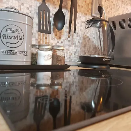 Downtown 아파트 Radomir