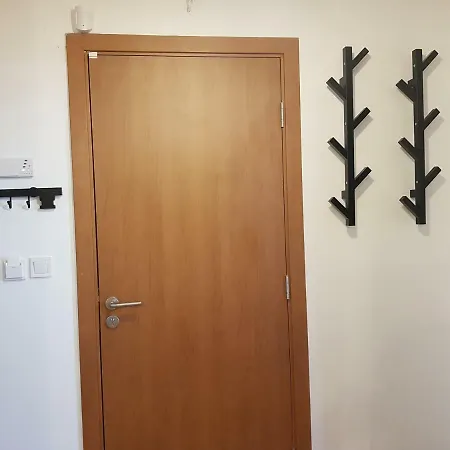 Downtown Apartamento Radomir