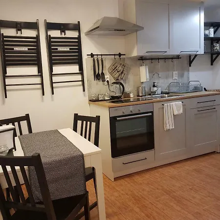 Downtown 아파트 Radomir