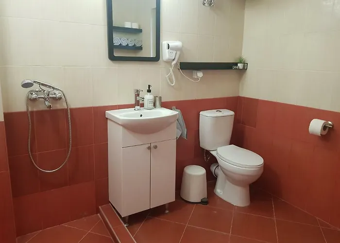 Downtown Apartament Radomir