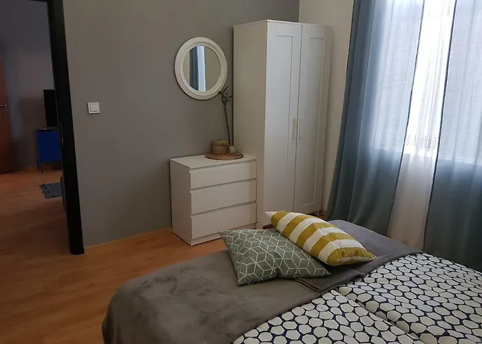 Downtown Apartament Radomir