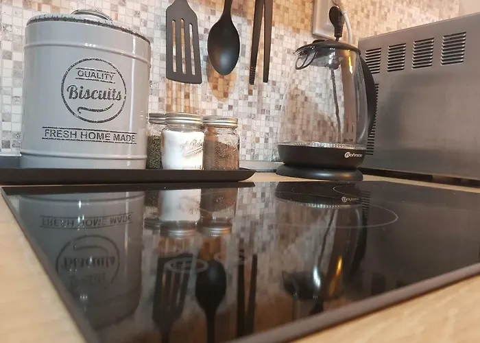 Downtown Apartament Radomir