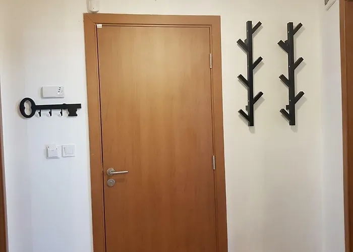 Downtown Apartament Radomir