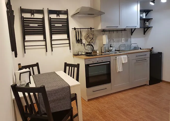 Downtown Apartament Radomir